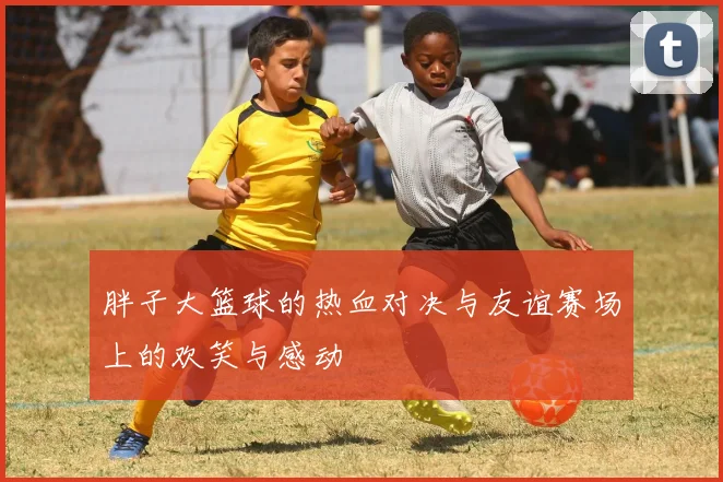 胖子大篮球的热血对决与友谊赛场上的欢笑与感动