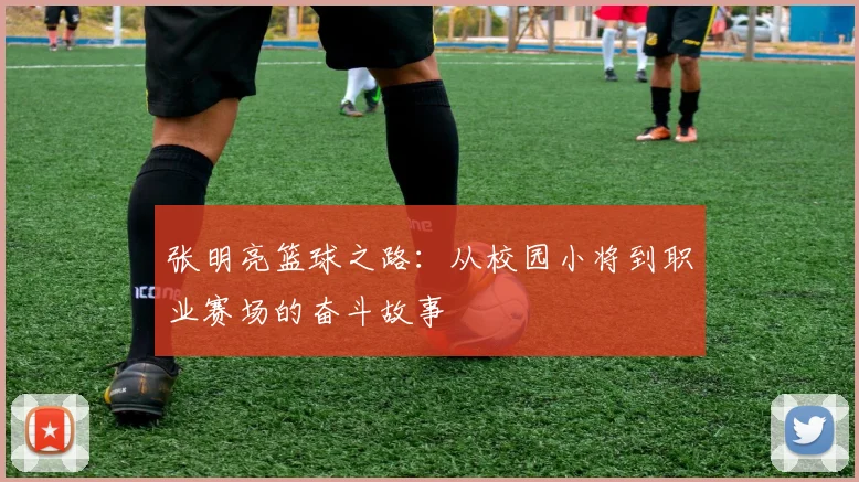 张明亮篮球之路：从校园小将到职业赛场的奋斗故事