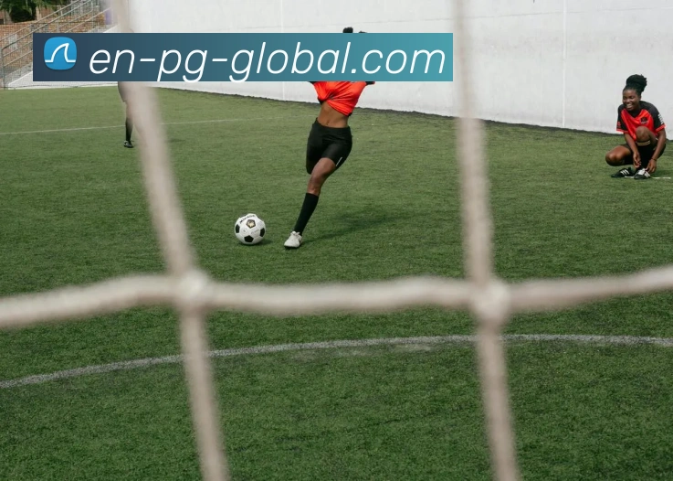 PG官方平台平台生态图